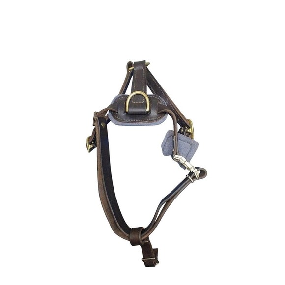 ForDogTrainers FDT H10 XL Leather Agitation Harness Brass Quick-Release Ret $170 - Picture 12 of 12